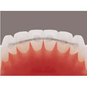 BESTDENT FILO PIATTO PER RETINERS