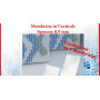 OSTEOXENON CORTICAL FLEX SHEET-1 PC 20-25 X 30-35 X 0.9MM