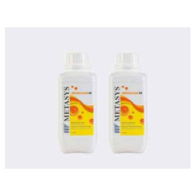 METASYS GREEN&CLEAN WK RIC.2 1LT 6PZ