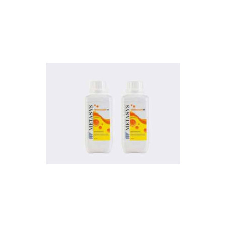 METASYS GREEN&CLEAN WK RIC.2 1LT 6PZ