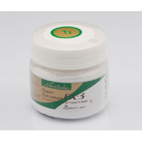 NORITAKE EX-3 TRANSLUCENT T CLEAR 50GR