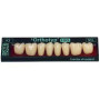 DENTI DCL VIVODENT  S  X 8