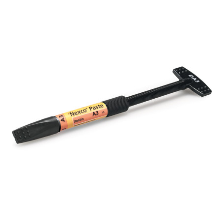 SR NEXCO PASTE DENTIN A2 2,5GR