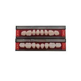 ACRY PLUS DENTI X8X6