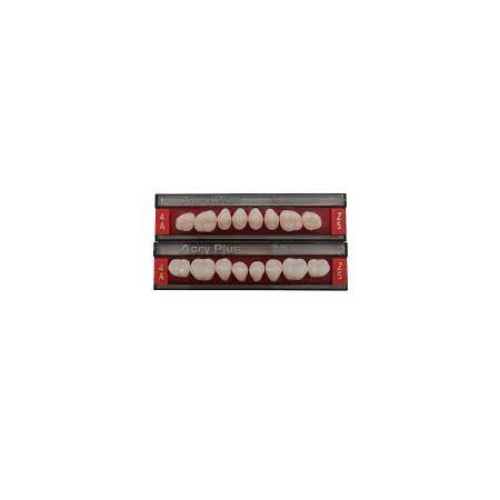 ACRY PLUS DENTI X8X6