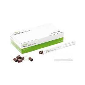 GUTTA FLOW BIOSEAL ROEKO KIT