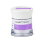IPS STYLE CERAM ONE 100 G 3