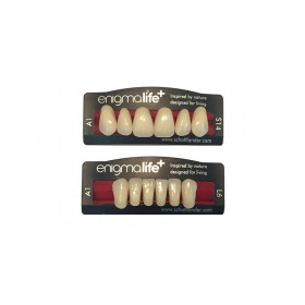 DENTI ENIGMA LIFE X6X8