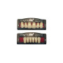DENTI ENIGMA LIFE X6X8