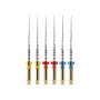 PROTAPER NEXT ASS.X1-X2-X3 31MM 6PZ