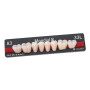 DENTI KULZER MONDIAL X8 1 STECCA