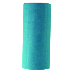 MANTELLINE ROTOLO AZZURRE 50X80  1PZ