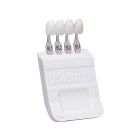 SCALA COLORI A-D IVOCLAR BLEACH