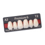 DENTI KULZER PREMIUM X6 1 STECCA